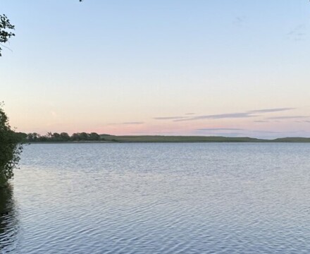 Thumbnail IMG 5419