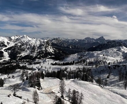 MicrosoftTeams image (53)