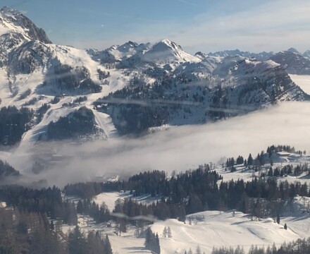 MicrosoftTeams image (65)