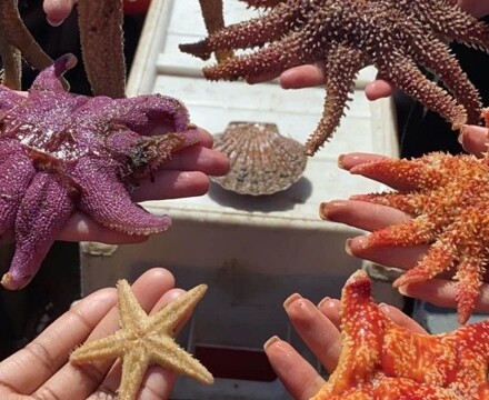 MicrosoftTeams image (2)