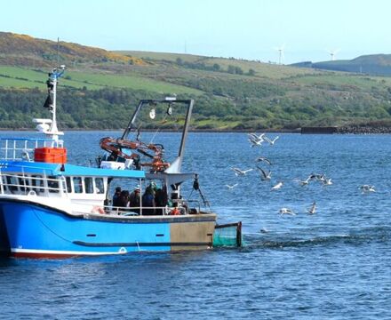 Trawling 3