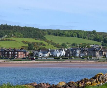 Sandy shore sampling