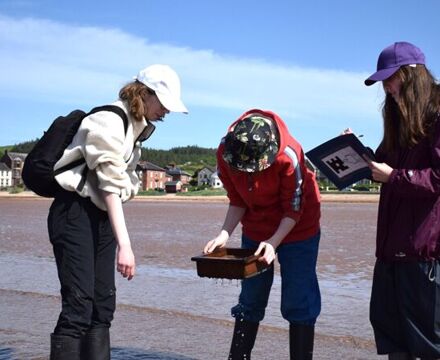 Sandy shore sampling 9