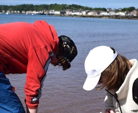 Sandy shore sampling 8