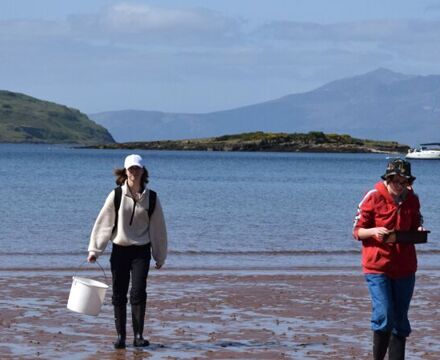 Sandy shore sampling 7