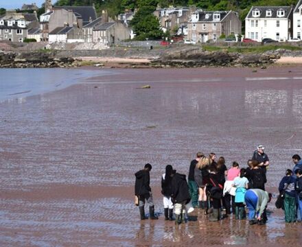 Sandy shore sampling 3