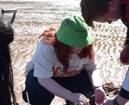 Sandy shore sampling 18