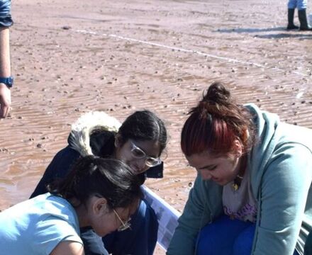 Sandy shore sampling 12