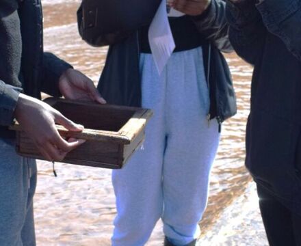 Sandy shore sampling 11