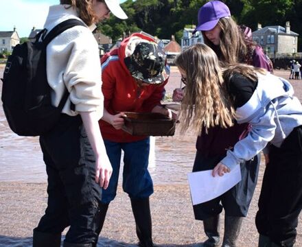 Sandy shore sampling 10