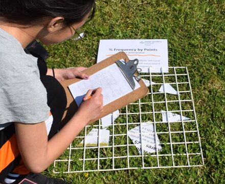 Sampling on the grass 3