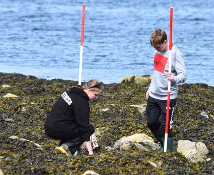 Rocky shore sampling 4