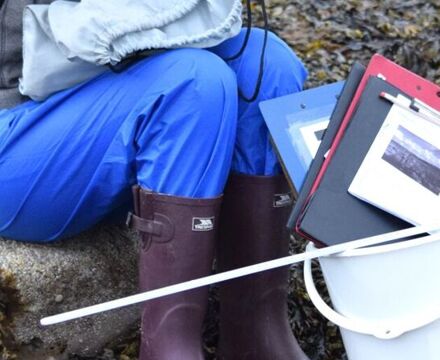 Rocky shore sampling 22