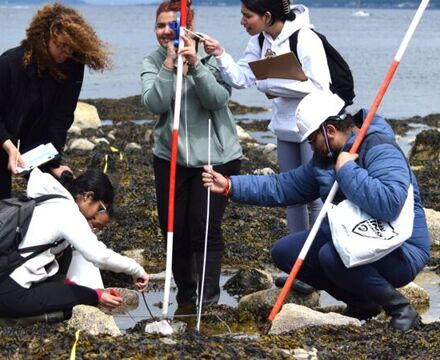 Rocky shore sampling 18